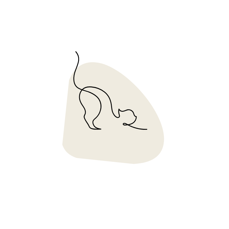 Katzenbetreuung mit Herz